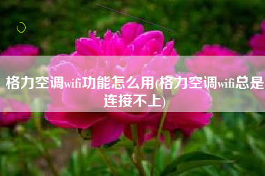 格力空调wifi功能怎么用(格力空调wifi总是连接不上)