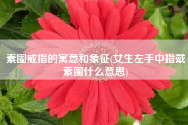 素圈戒指的寓意和象征(女生左手中指戴素圈什么意思)