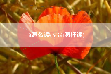 it怎么读(ⅴisit怎样读)