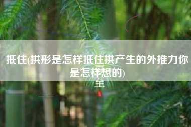 抵住(拱形是怎样抵住拱产生的外推力你是怎样想的)