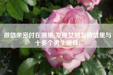 微信亲密付在哪里(发现女朋友微信里与十多个男生暧昧)