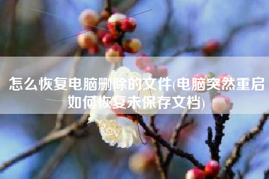 怎么恢复电脑删除的文件(电脑突然重启如何恢复未保存文档)