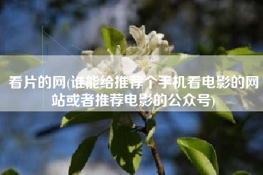 看片的网(谁能给推荐个手机看电影的网站或者推荐电影的公众号)