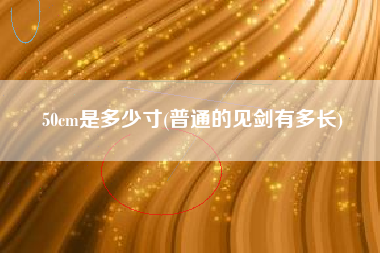 50cm是多少寸(普通的见剑有多长)