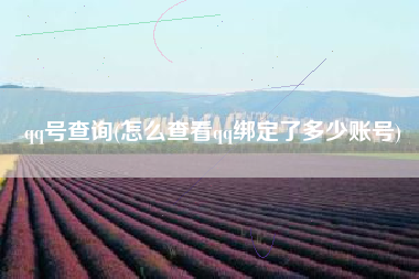 qq号查询(怎么查看qq绑定了多少账号)
