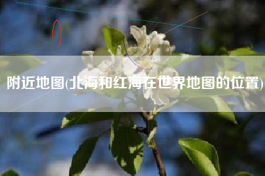 附近地图(北海和红海在世界地图的位置)