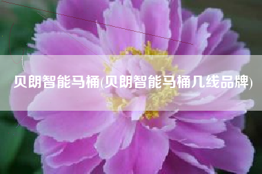 贝朗智能马桶(贝朗智能马桶几线品牌)