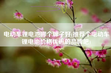 电动车锂电池哪个牌子好(推荐个电动车锂电池价格优惠的品牌吧)