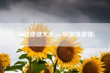 cad快捷键大全(cad吸取快捷键)