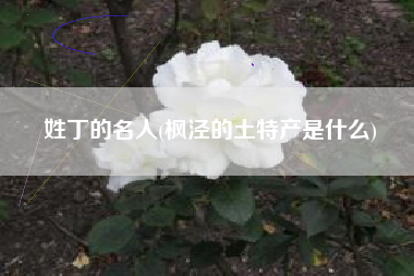 姓丁的名人(枫泾的土特产是什么)