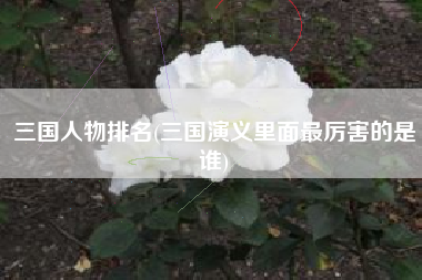 三国人物排名(三国演义里面最厉害的是谁)