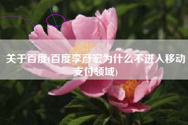 详细阅读:关于百度(百度李彦宏为什么不进入移动支付领域) 关于百度(百度李彦宏为什么不进入移动支付领域)