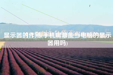 显示器的作用(手机屏幕能当电脑的显示器用吗)
