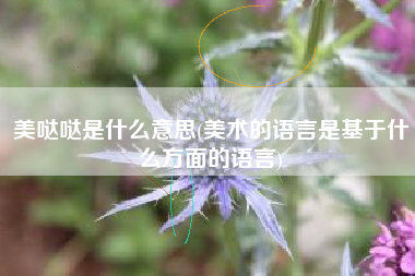 美哒哒是什么意思(美术的语言是基于什么方面的语言)