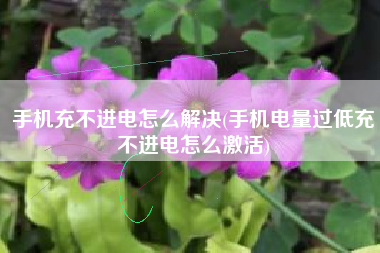 手机充不进电怎么解决(手机电量过低充不进电怎么激活)