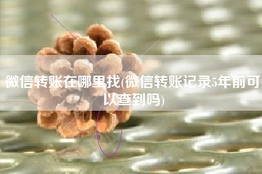 微信转账在哪里找(微信转账记录5年前可以查到吗)