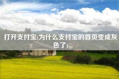 打开支付宝(为什么支付宝的首页变成灰色了)
