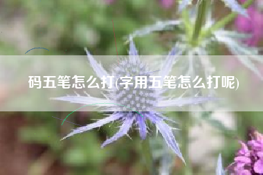 码五笔怎么打(字用五笔怎么打呢)