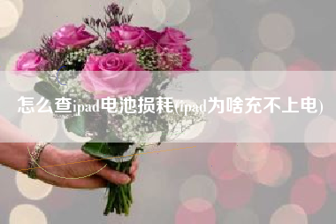 怎么查ipad电池损耗(ipad为啥充不上电)