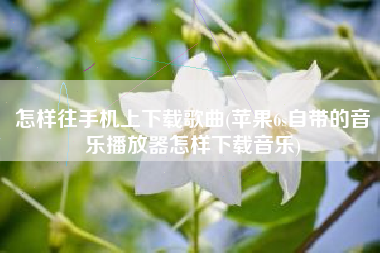 怎样往手机上下载歌曲(苹果6s自带的音乐播放器怎样下载音乐)