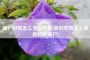 僵尸村民怎么变回村民(我的世界怎么救助村民僵尸)