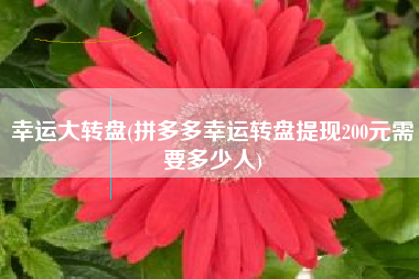 幸运大转盘(拼多多幸运转盘提现200元需要多少人)