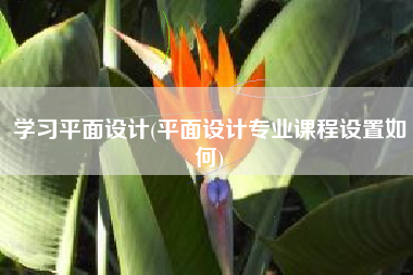 学习平面设计(平面设计专业课程设置如何)