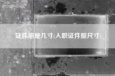 证件照是几寸(入职证件照尺寸)