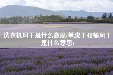 洗衣机风干是什么意思(单脱干和桶风干是什么意思)