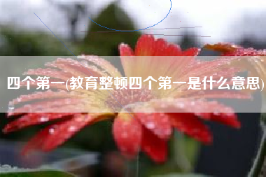 四个第一(教育整顿四个第一是什么意思)