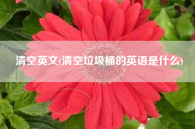 详细阅读:清空英文(清空垃圾桶的英语是什么) 清空英文(清空垃圾桶的英语是什么)