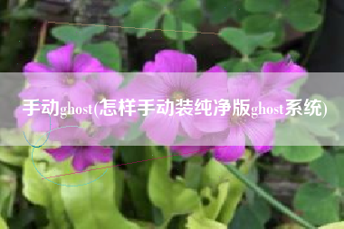 手动ghost(怎样手动装纯净版ghost系统)