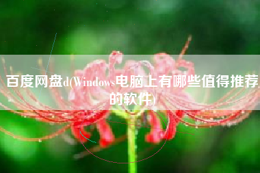 百度网盘d(Windows电脑上有哪些值得推荐的软件)