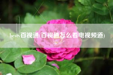 bestv百视通(百视通怎么看电视频道)