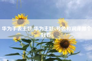 华为手表主题(华为主题8号色和润泽哪个好看)