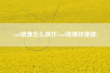 cad镜像怎么操作(cad镜像快捷键)