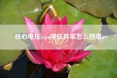 核心电压(cpu电压异常怎么回事)