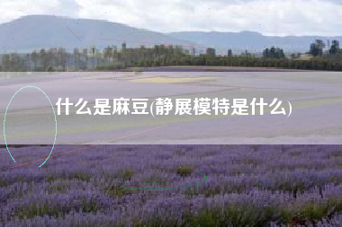 什么是麻豆(静展模特是什么)