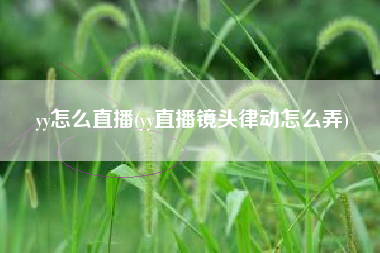 yy怎么直播(yy直播镜头律动怎么弄)