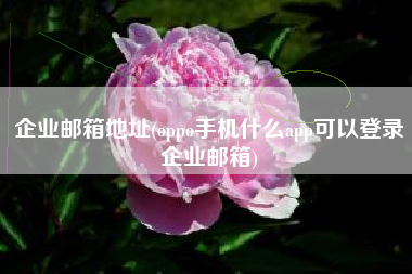 企业邮箱地址(oppo手机什么app可以登录企业邮箱)