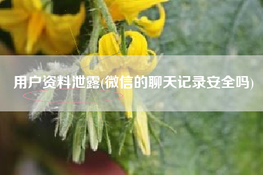 用户资料泄露(微信的聊天记录安全吗)