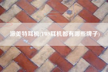 派美特耳机(TWS耳机都有哪些牌子)