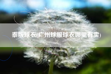 泰版球衣(广州球服球衣哪里有卖)