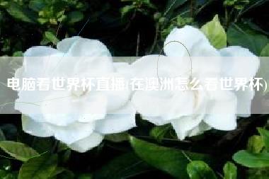 电脑看世界杯直播(在澳洲怎么看世界杯)
