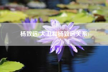 杨致远(大卫和杨致远关系)