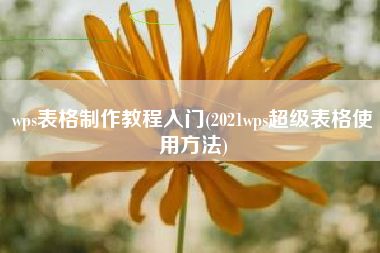 wps表格制作教程入门(2021wps超级表格使用方法)