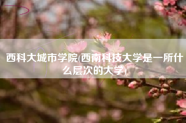 西科大城市学院(西南科技大学是一所什么层次的大学)