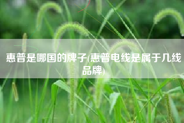 惠普是哪国的牌子(惠普电线是属于几线品牌)