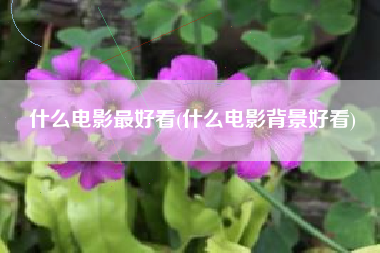 什么电影最好看(什么电影背景好看)