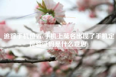 追踪手机位置(手机上莫名出现了手机定位验证码是什么意思)